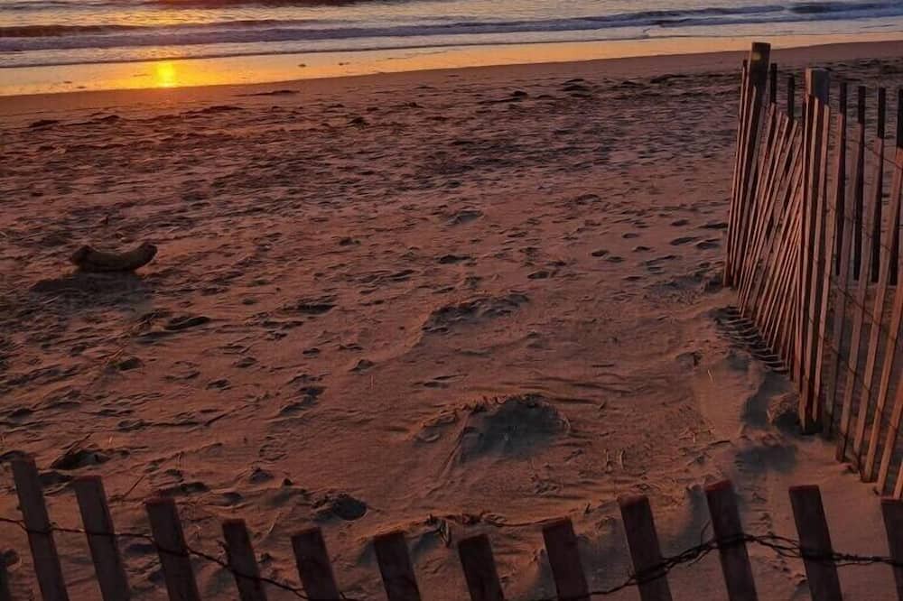 Photo of Others in Jerusalem