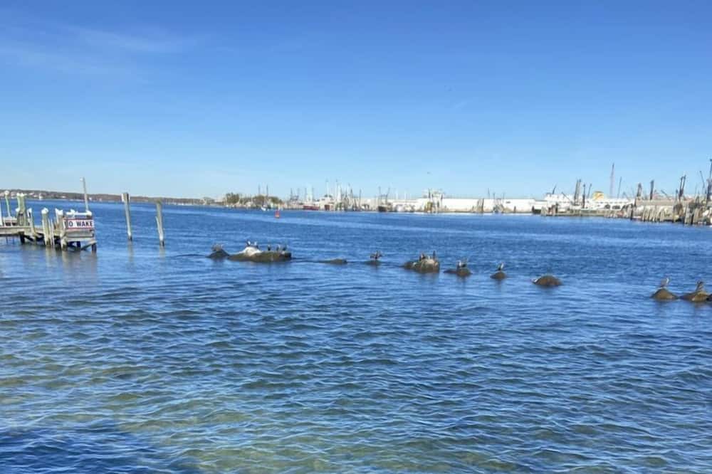Photo of Others in Jerusalem