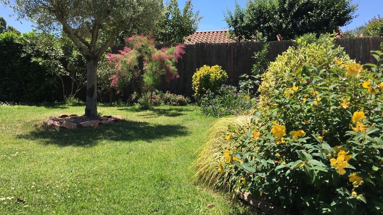 Photo of Outdoor in Saint-Simon