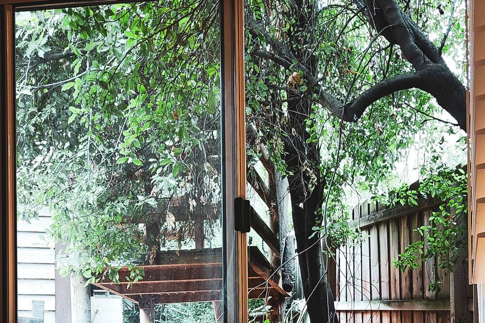 Photo of Bedroom in Eltham