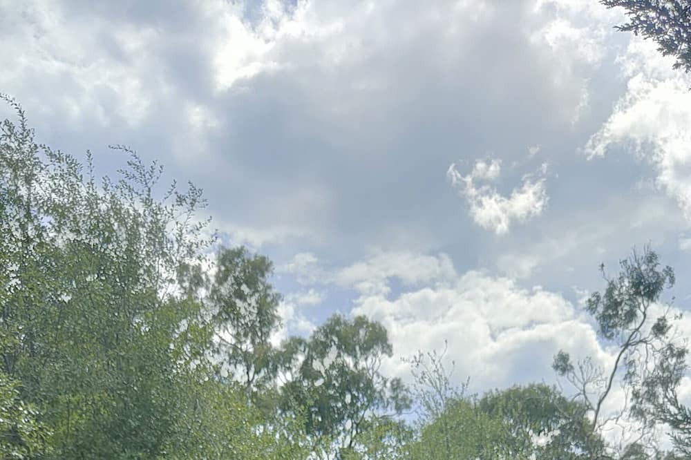 Photo of Outdoor in Eltham