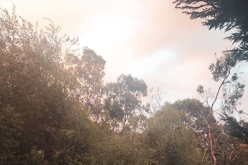 Photo of Outdoor in Eltham