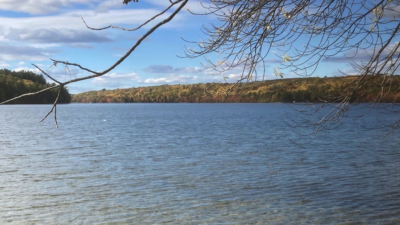 Photo of Others in Blind River