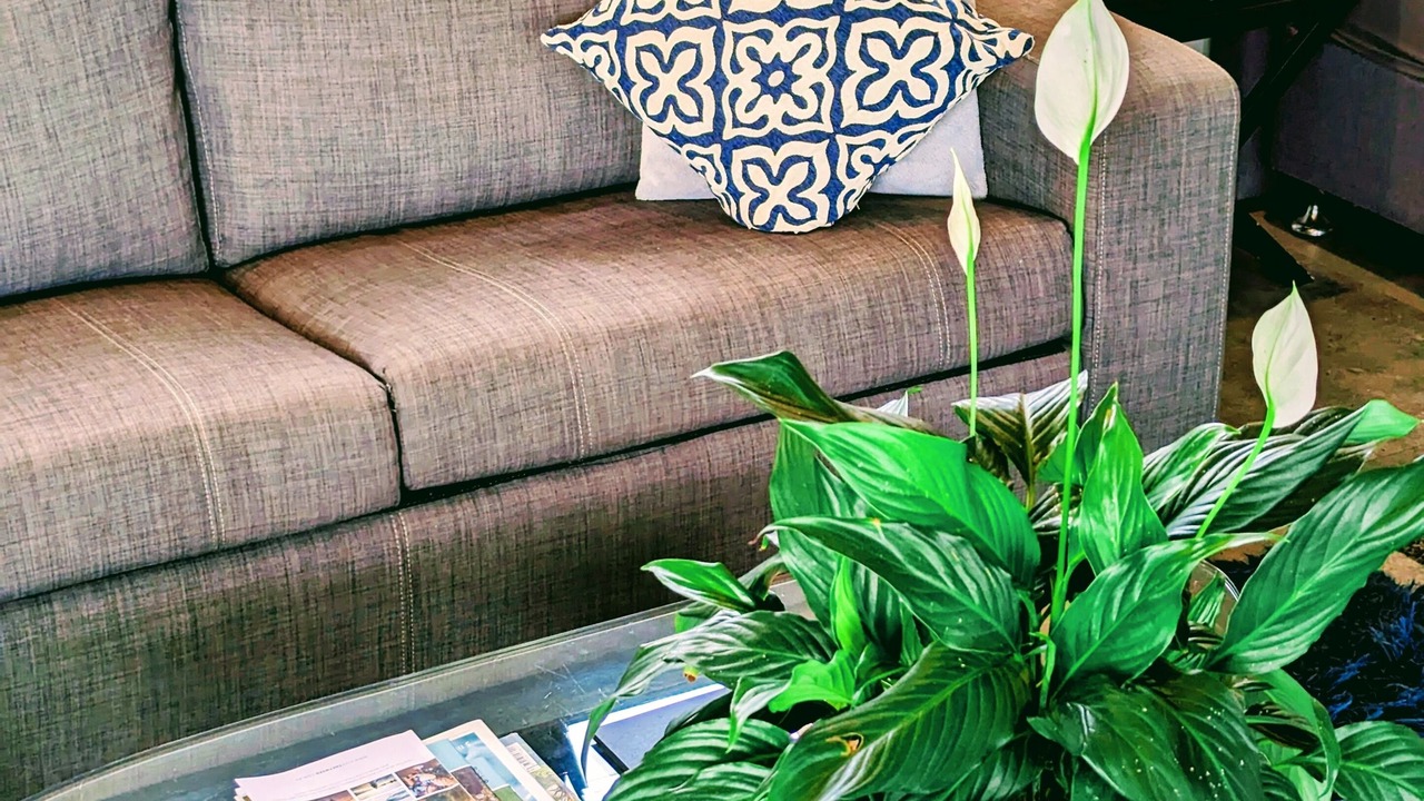 Photo of Livingroom in Smiths Creek