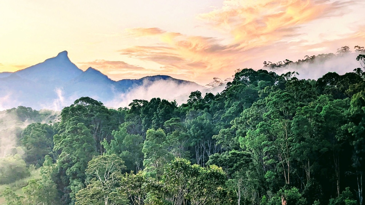 Photo of Others in Smiths Creek