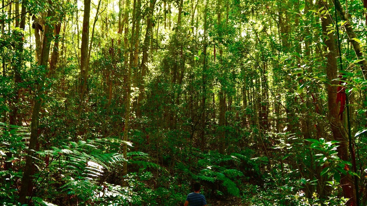 Photo of Outdoor in Smiths Creek