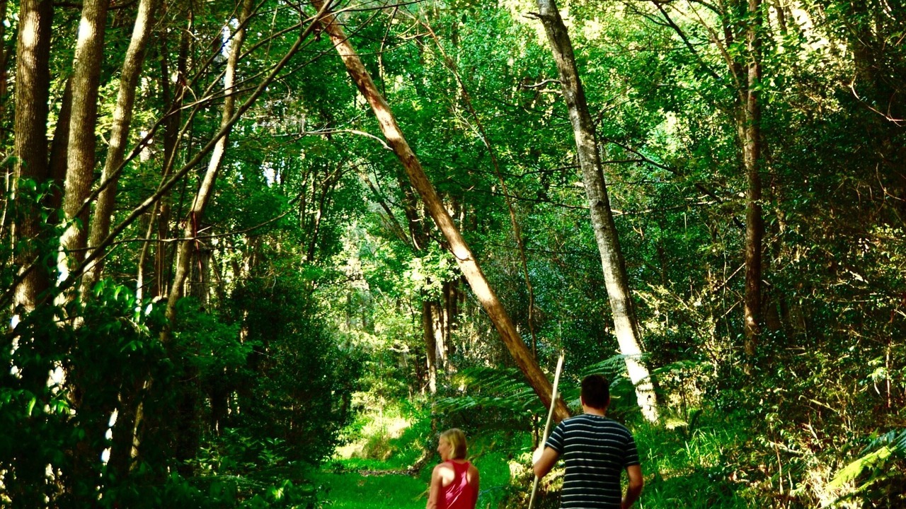 Photo of Outdoor in Smiths Creek