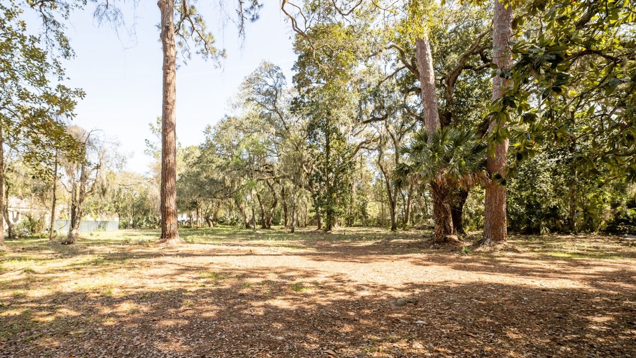 Photo of Outdoor in Amelia City