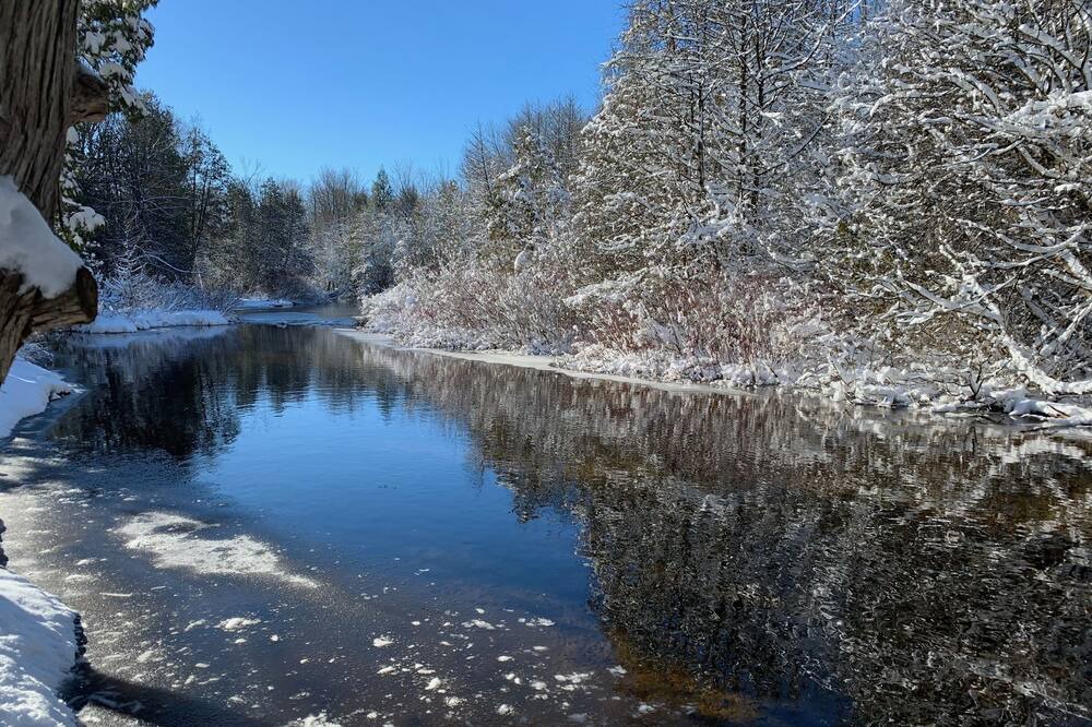 Photo of Others in West Grey