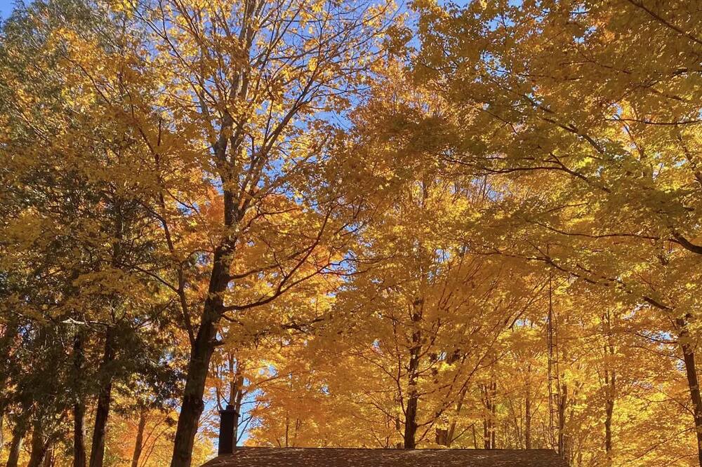 Photo of Outdoor in West Grey