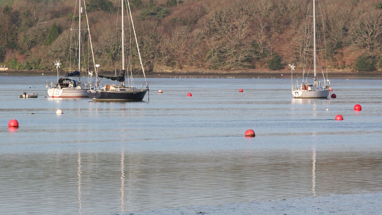 Photo of Others in Bere Alston