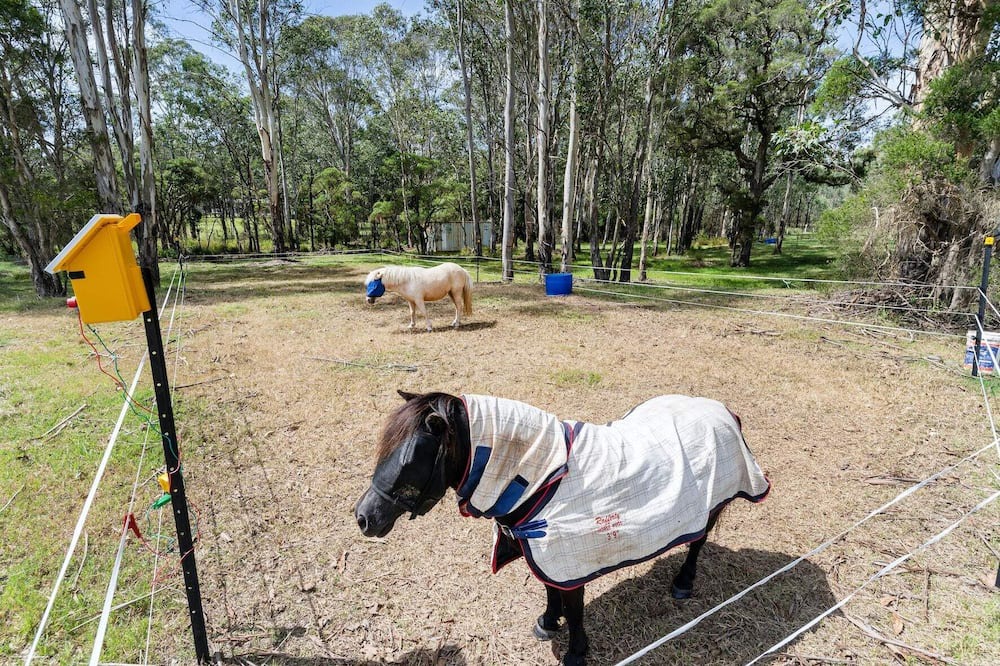 Photo of Others in Pitt Town