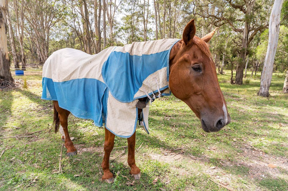 Photo of Others in Pitt Town