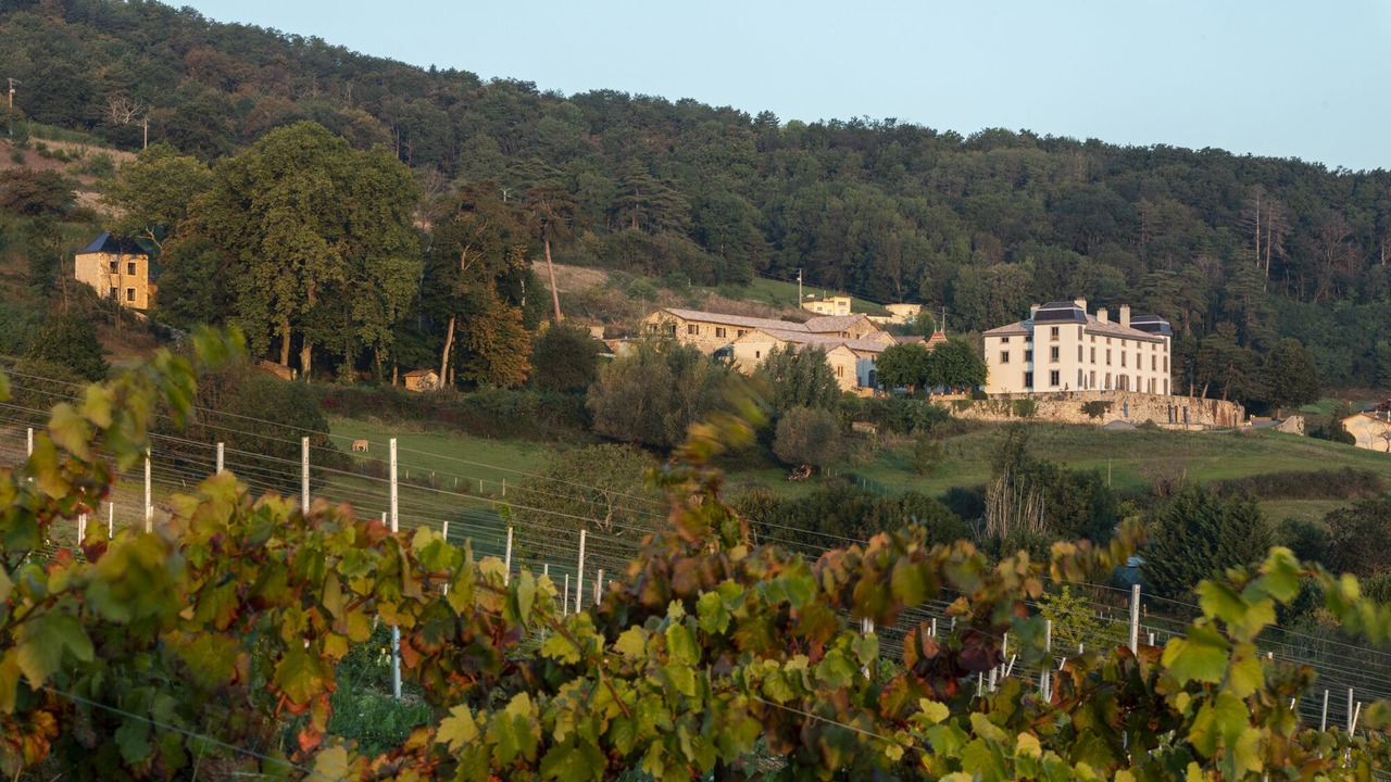Photo of Outdoor in Quincie-en-Beaujolais