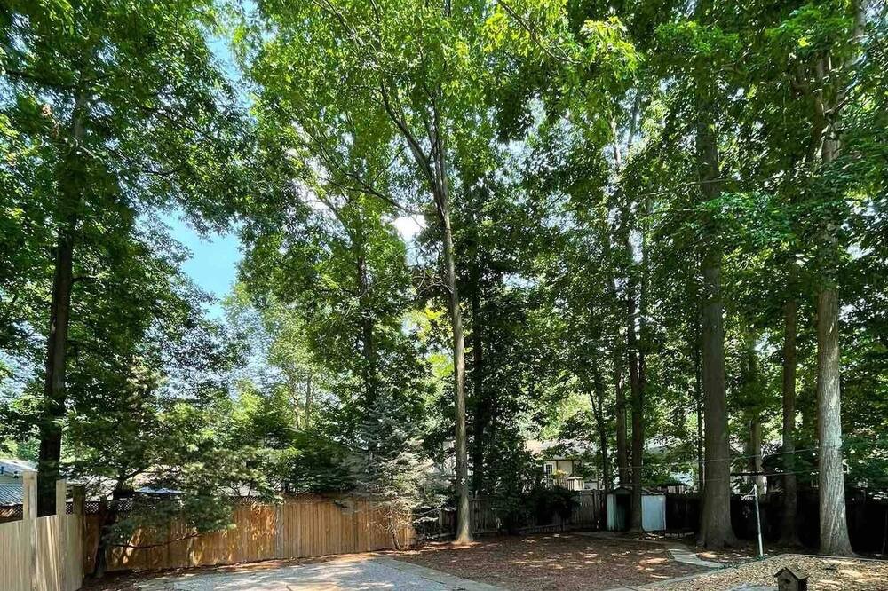 Photo of Outdoor in Byron
