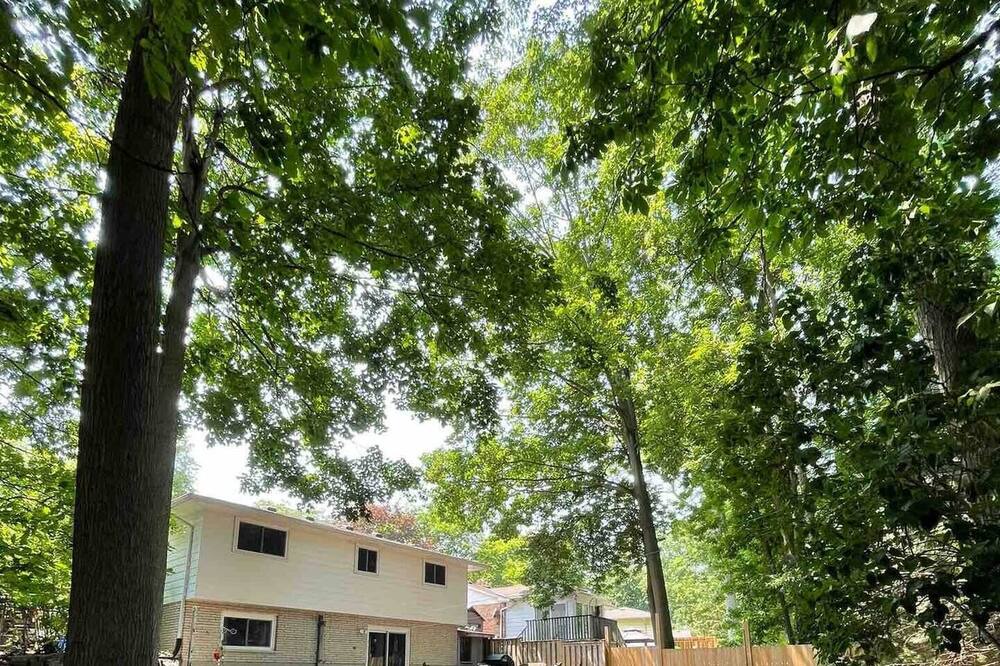Photo of Outdoor in Byron
