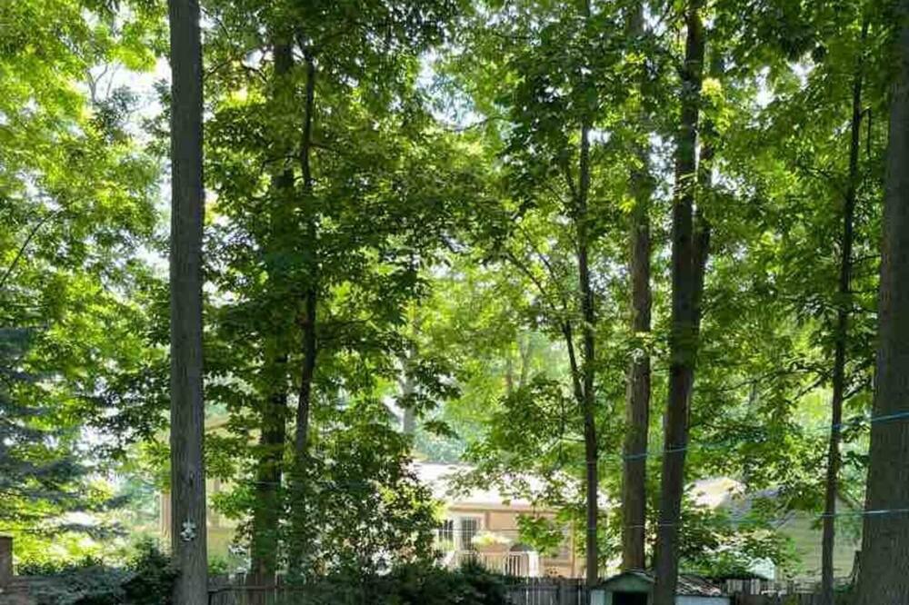 Photo of Outdoor in Byron