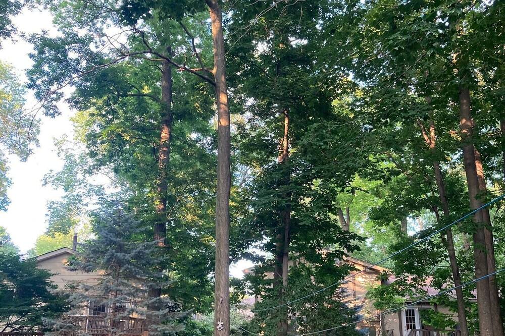 Photo of Outdoor in Byron