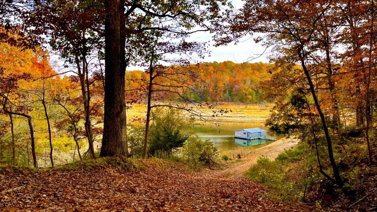 Photo of Outdoor in Bull Shoals