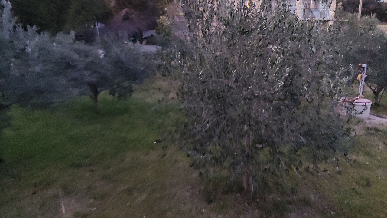 Photo of Others in Pont-Saint-Esprit