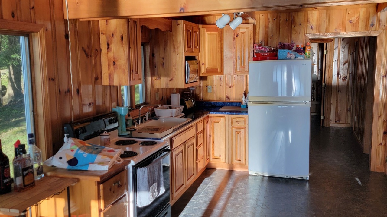 Photo of Kitchen in Colchester
