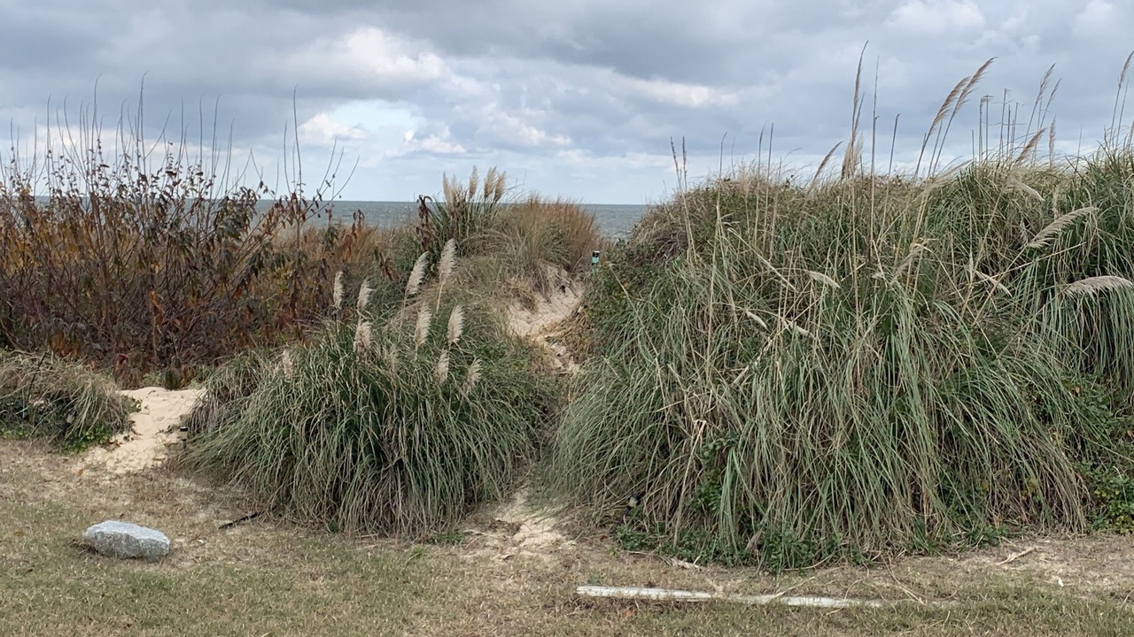 Photo of Outdoor in Cottage Line