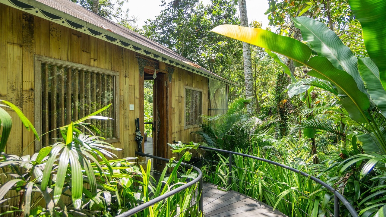 Photo of Outdoor in Payangan