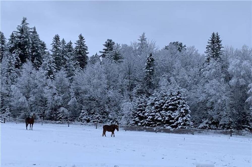 Photo of Others in Lachute