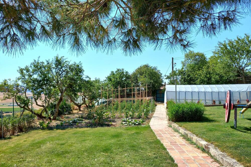 Photo of Outdoor in Azcona