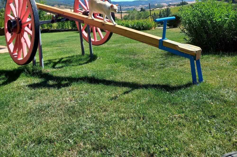 Photo of Outdoor in Azcona