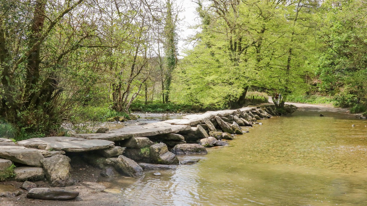 Photo of Others in Barnstaple