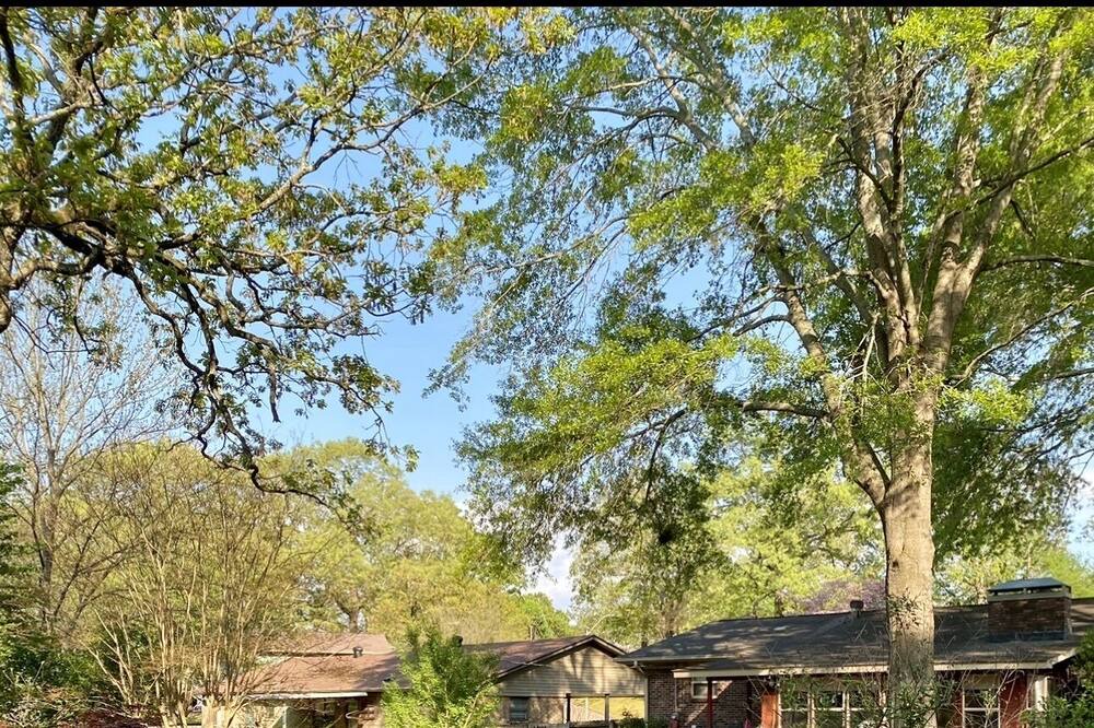 Photo of Outdoor in Sherwood