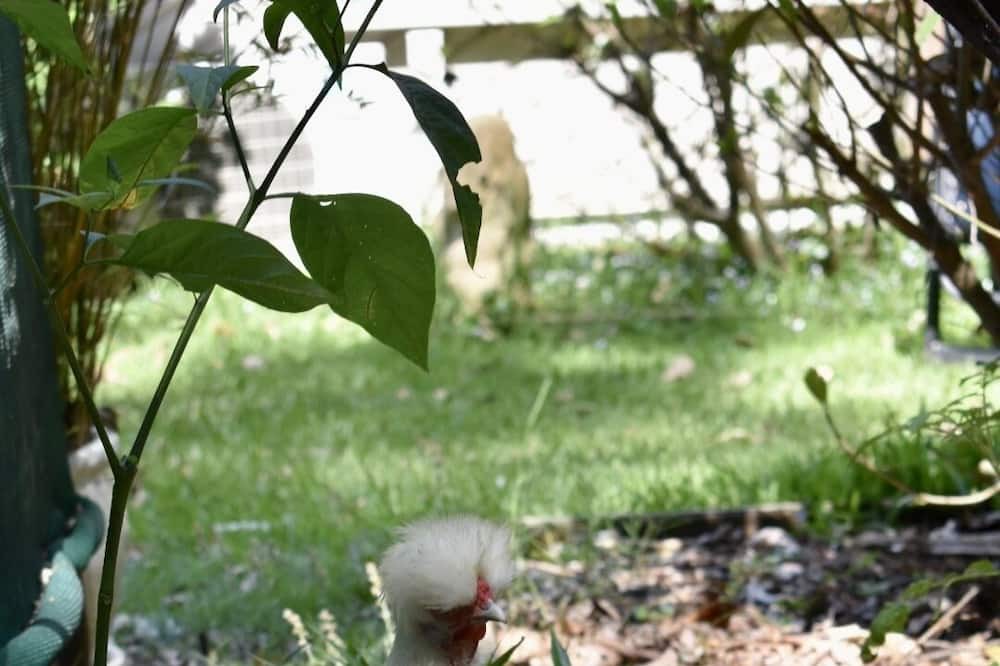 Photo of Outdoor in Fountaindale