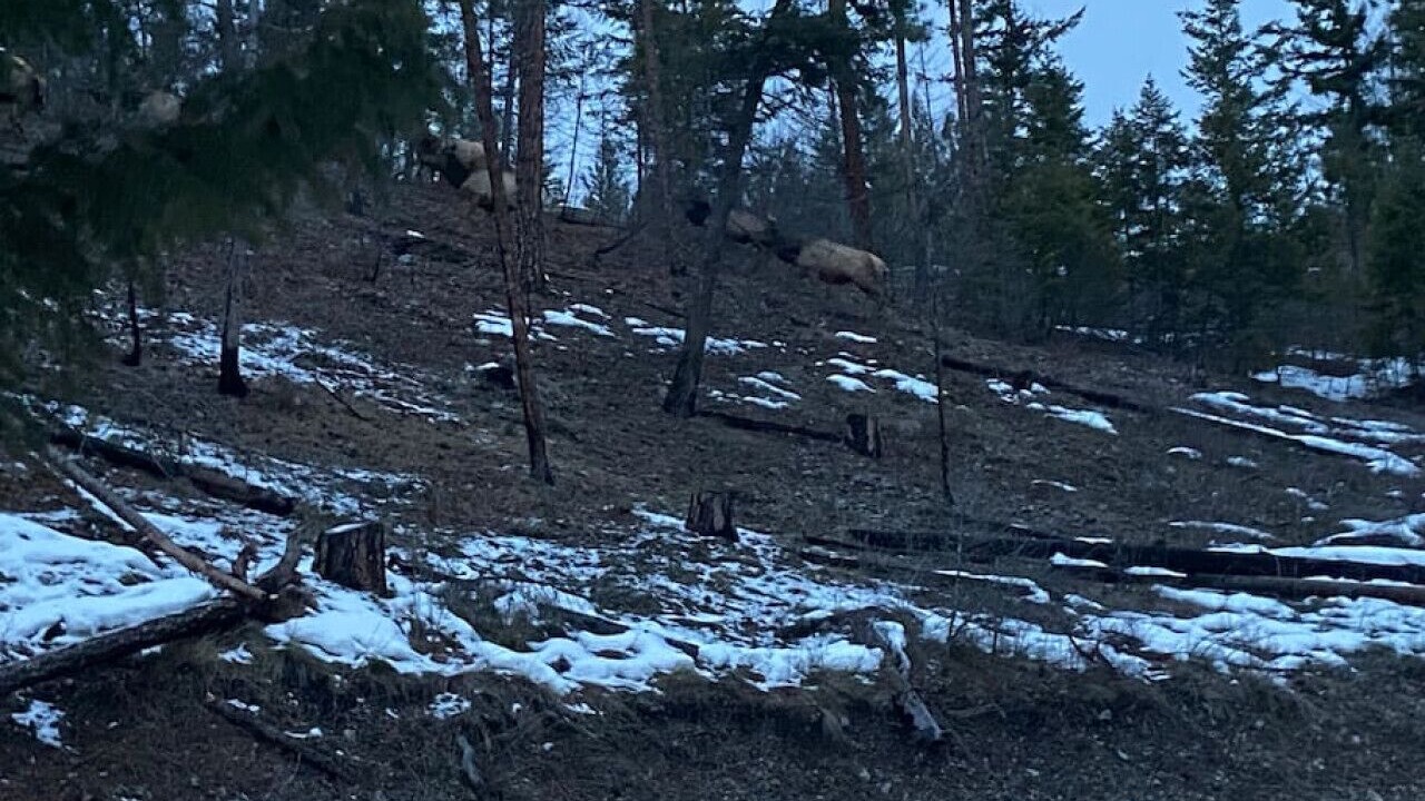 Photo of Outdoor in Superior