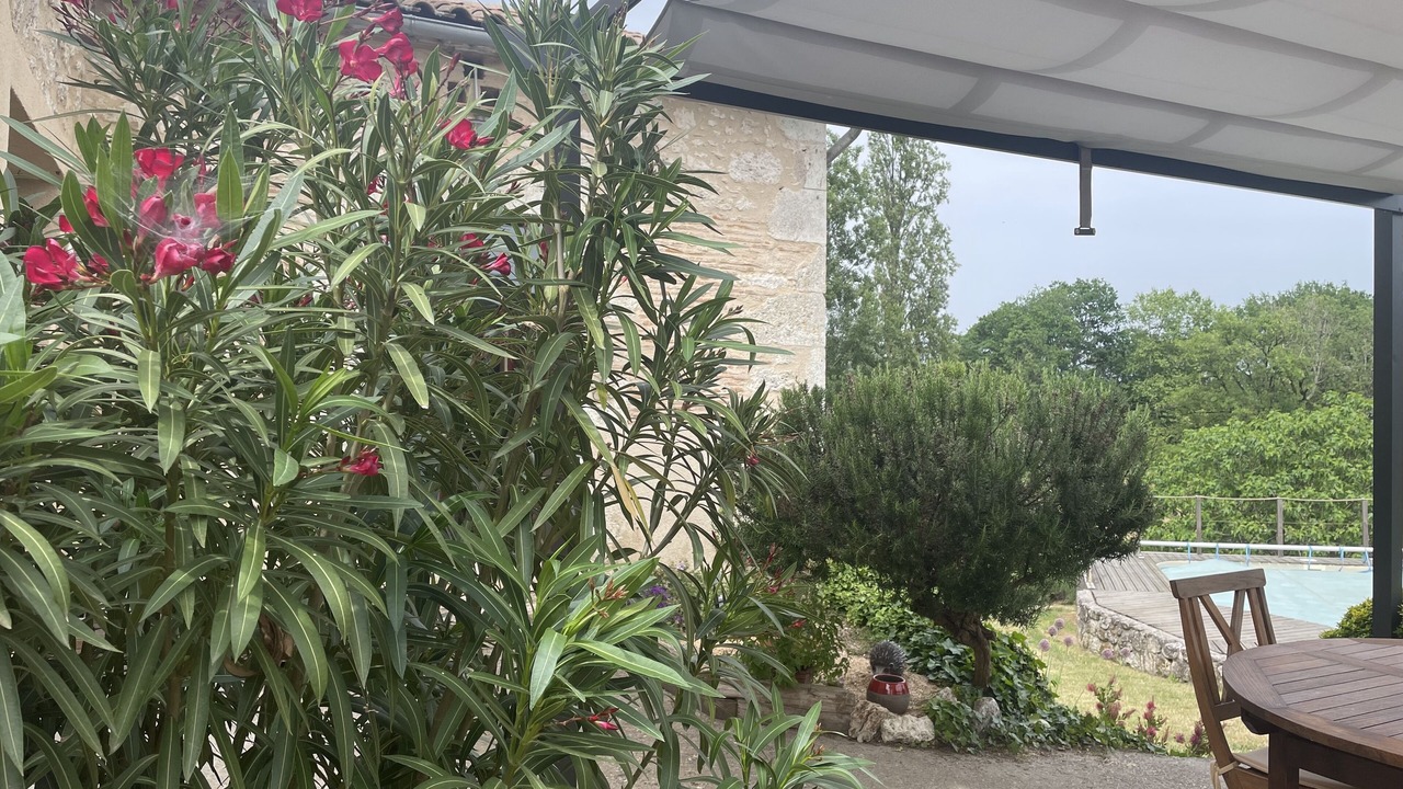 Photo of Outdoor in Saint-Perdoux