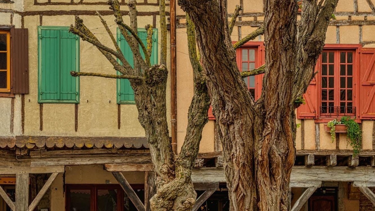 Photo of Outdoor in Mirepoix