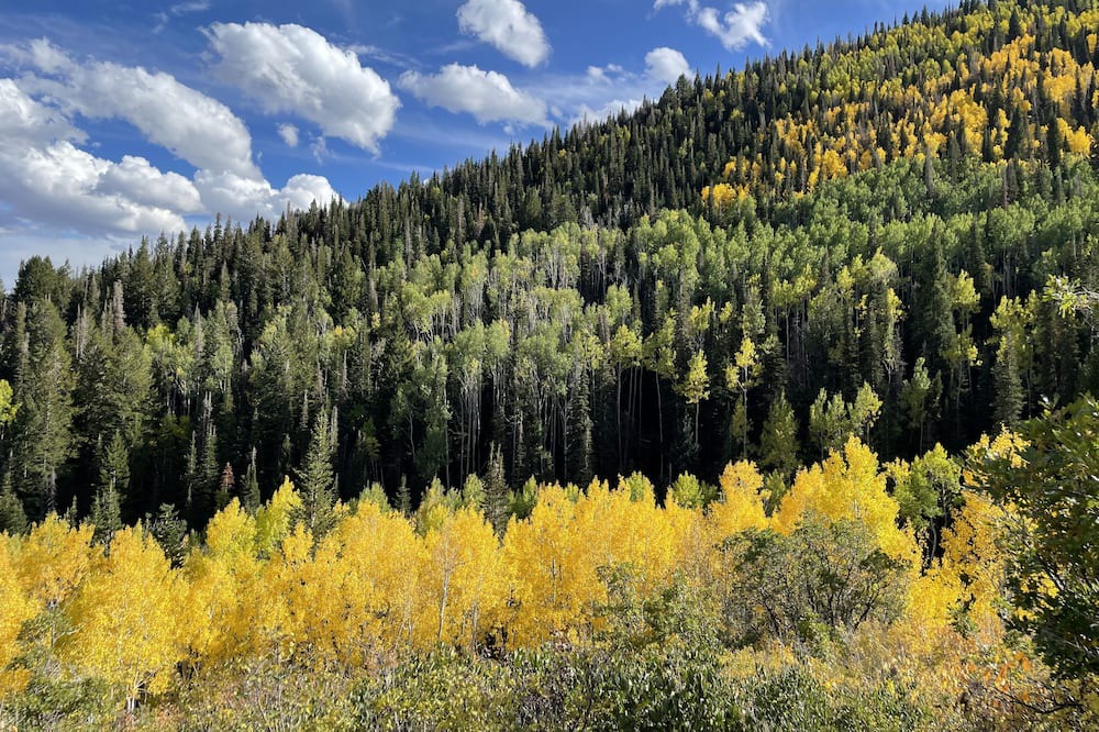 Photo of Outdoor in Pineridge