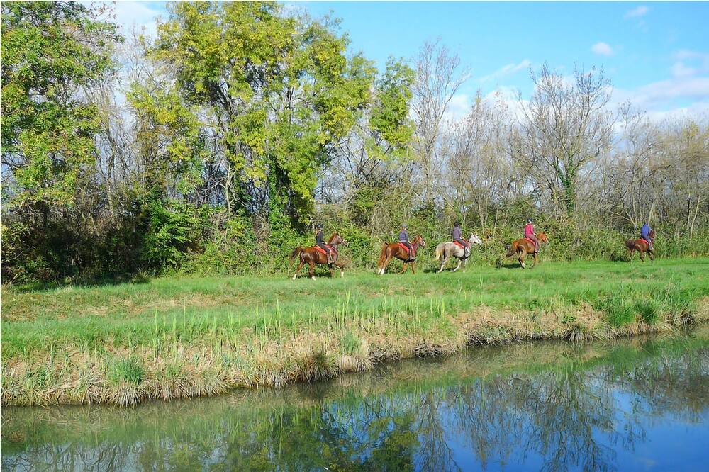 Photo of Others in Gallargues-le-Montueux