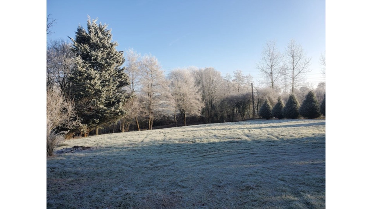 Photo of Others in Floyon