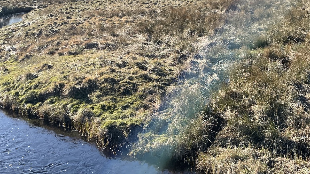 Photo of Others in Halkirk