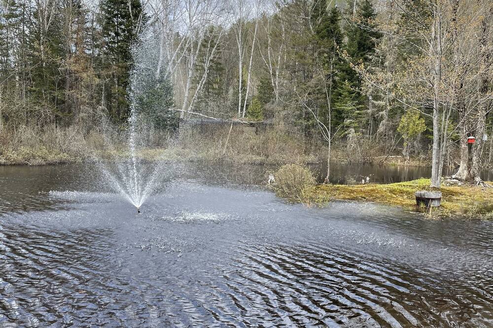 Photo of Outdoor in Mauricie