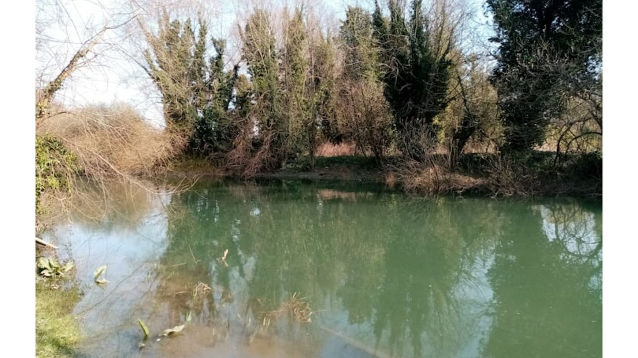 Photo of Outdoor in La Calotterie