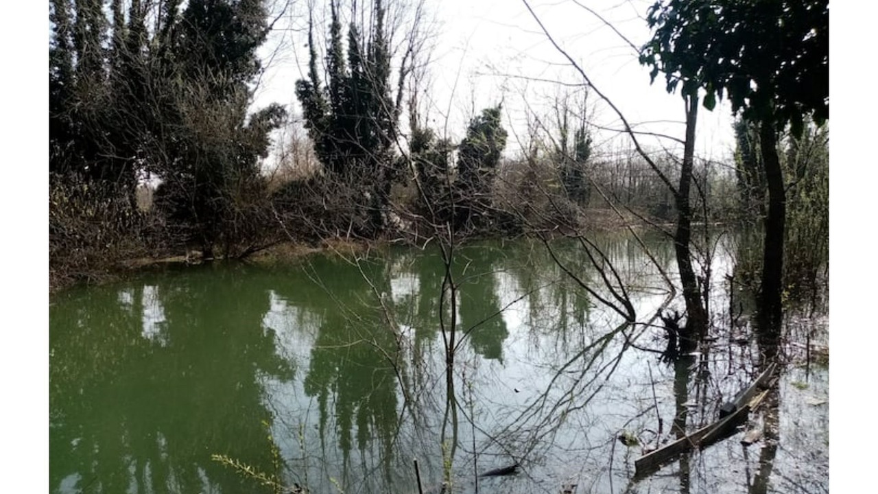 Photo of Others in La Calotterie