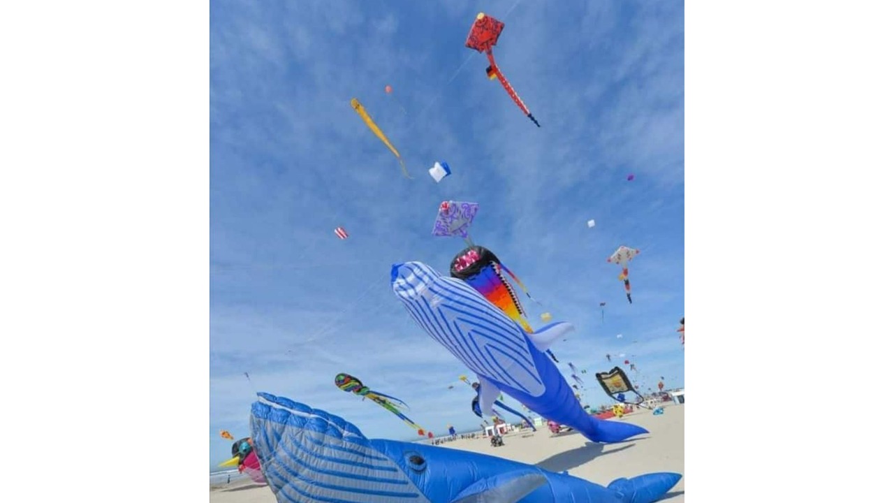 Photo of Others in La Calotterie