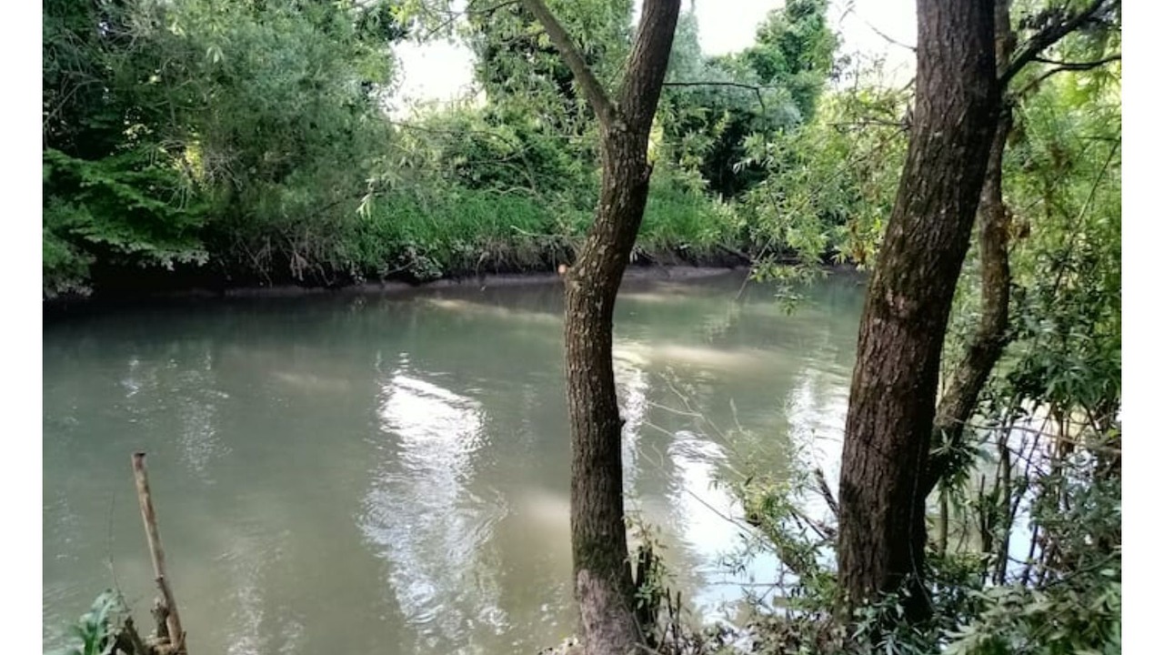 Photo of Others in La Calotterie