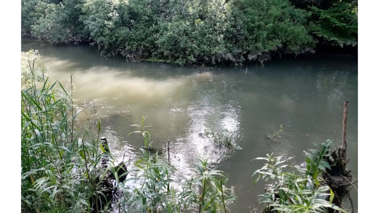 Photo of Others in La Calotterie