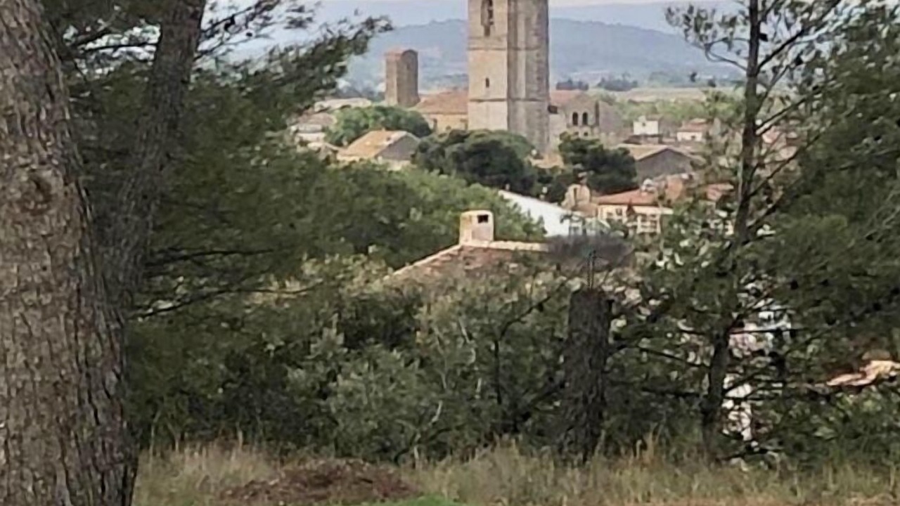Photo of Outdoor in Lezignan-Corbieres