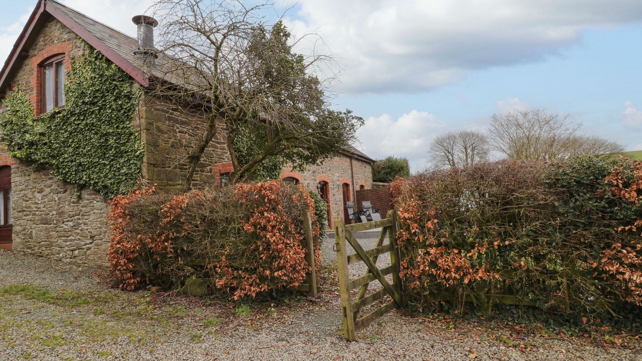 Photo of Others in South Molton