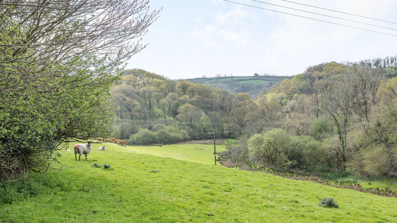 Photo of Others in South Molton