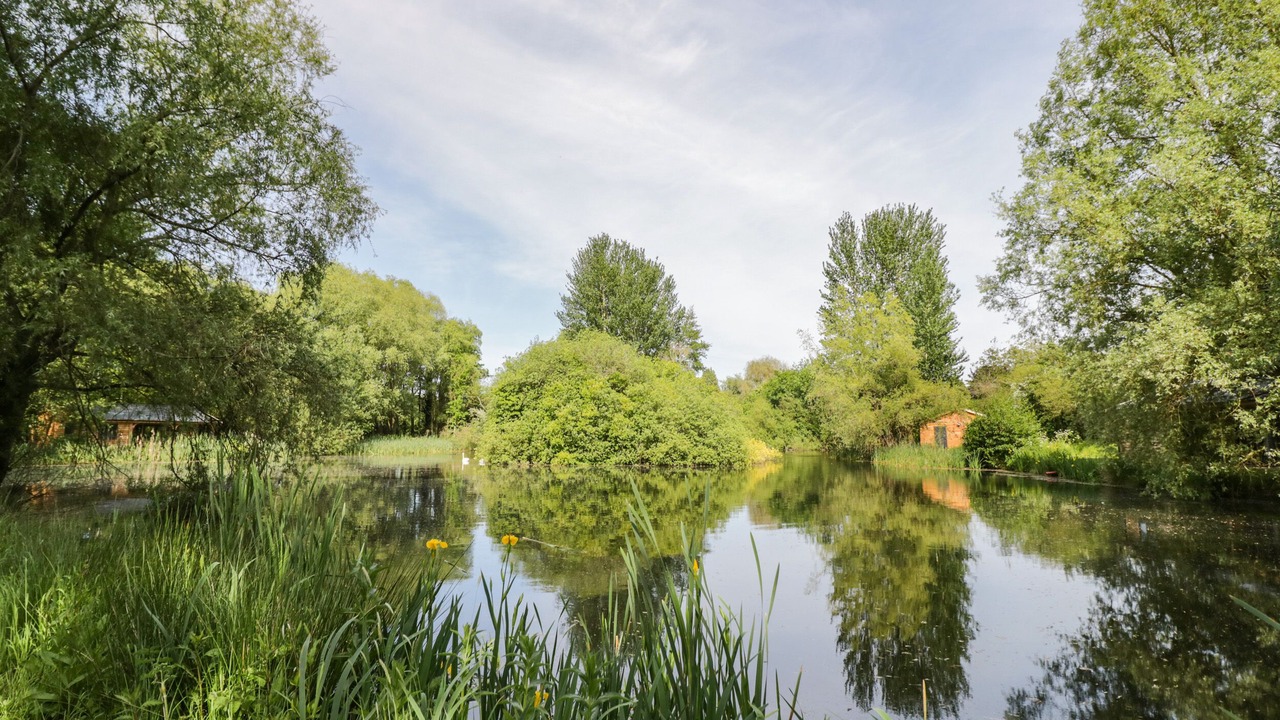 Photo of Others in Frankton